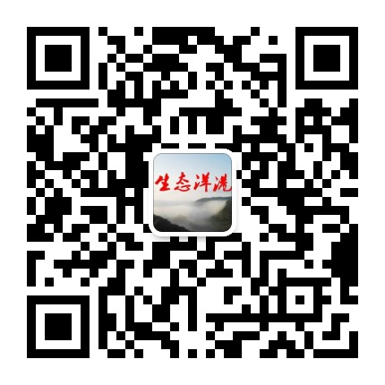 生态洋港公众号二维码