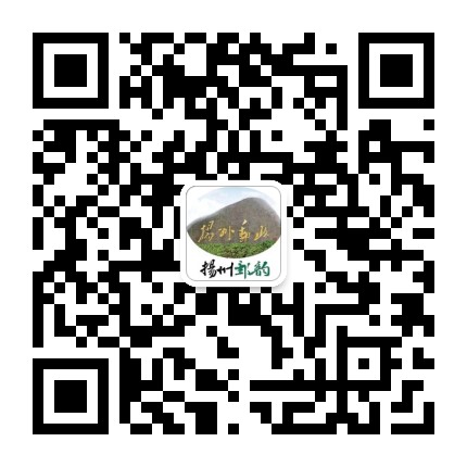 扬州邮韵公众号二维码