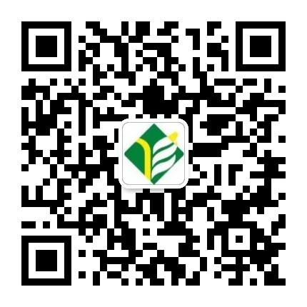 扬州教育在线