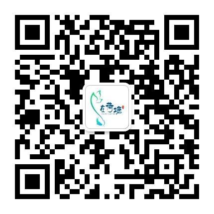 在荷塘公众号二维码