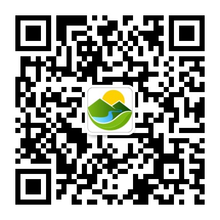 在松阳公众号二维码
