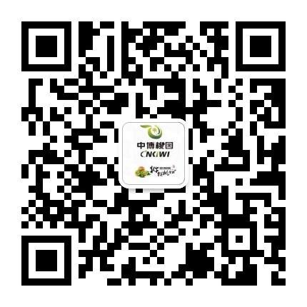 中博桃园公众号二维码