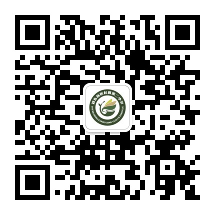 郑东新区龙翼第二小学公众号二维码
