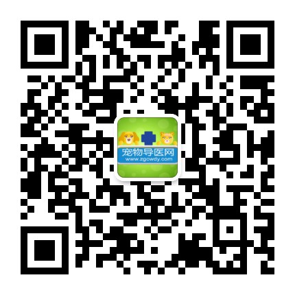 宠物导医网公众号二维码