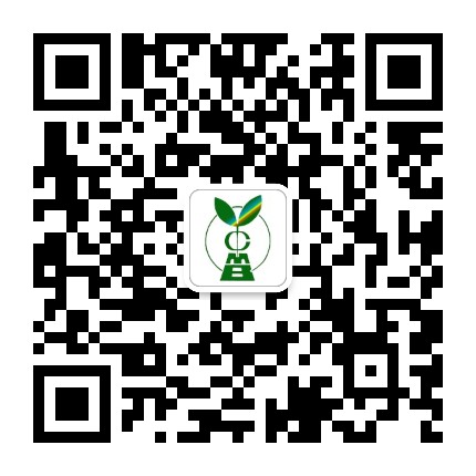 中医基础