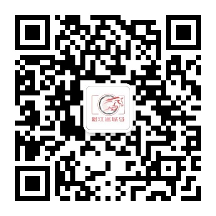 湛江巡城马公众号二维码