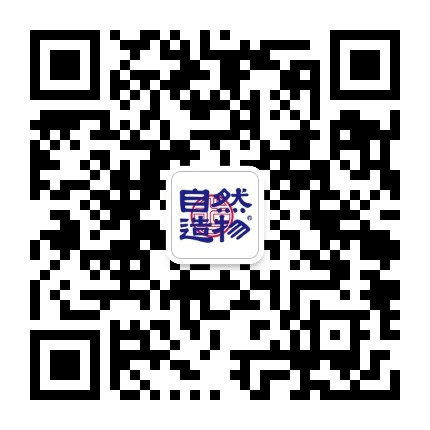 自然造物官方微信公众号