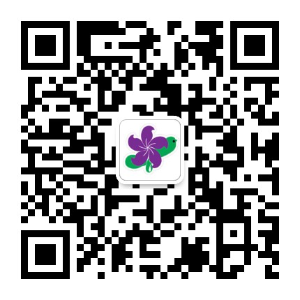 紫荆花幼儿园公众号二维码