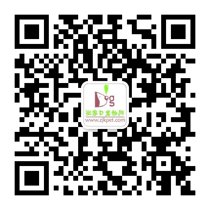 张家口宠物网公众号二维码