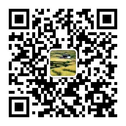 灵地乡人民政府公众号二维码