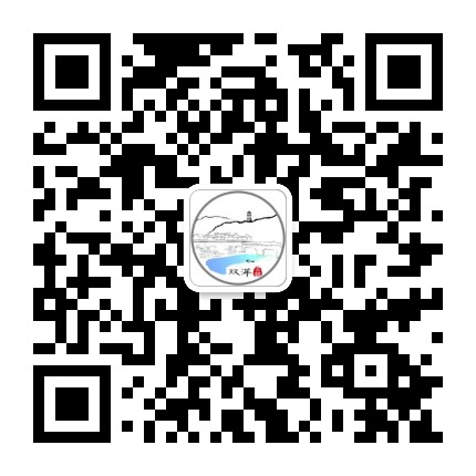 双洋镇人民政府公众号二维码