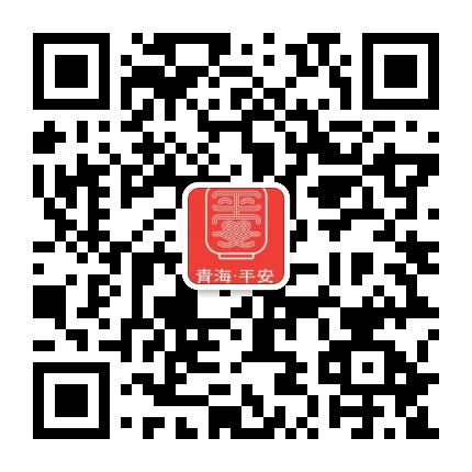 掌上平安公众号二维码