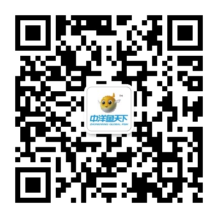 鱼天下官方微信公众号